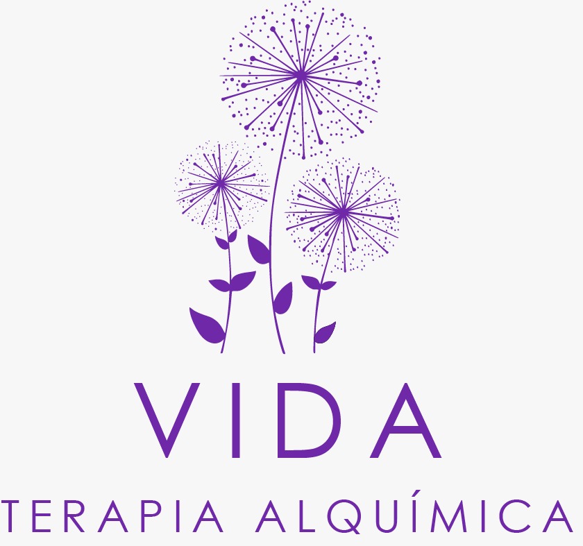 Vida Terapia Alquímica
